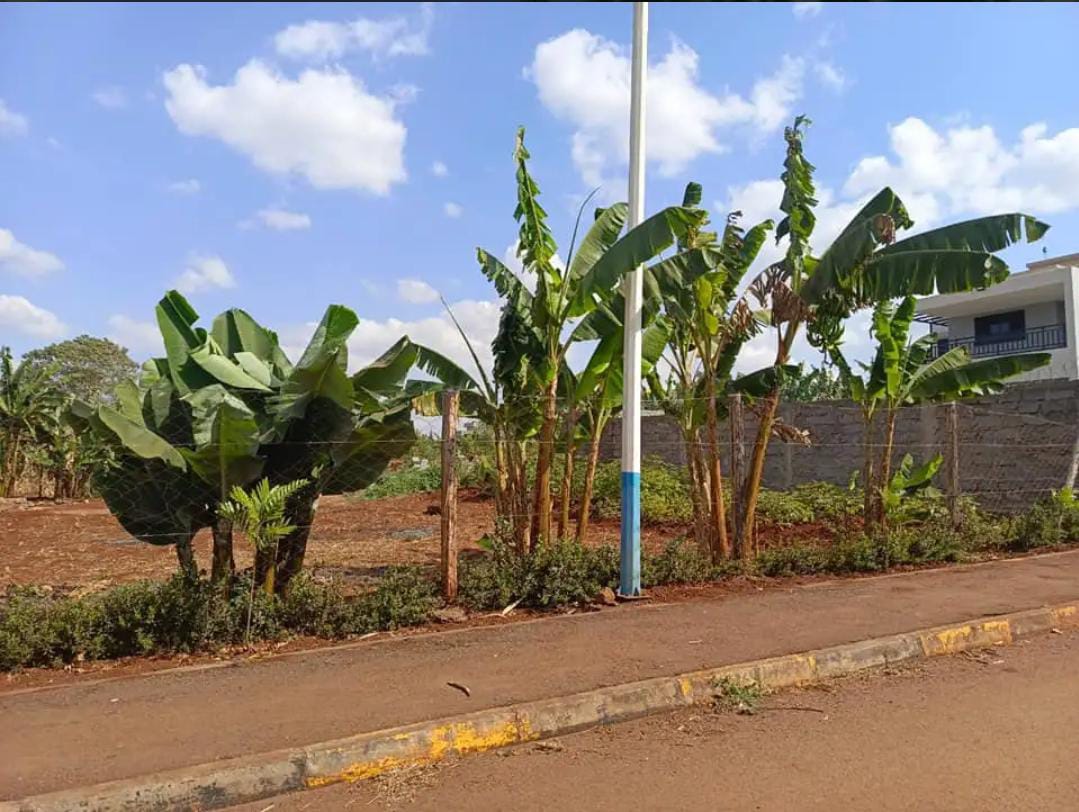 plot for sale in Thika – Westwood Gardens Estate site photo